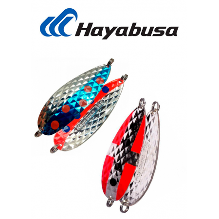 Hayabusa (Japan)